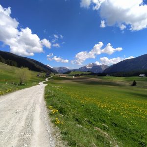 IMG_20250501_124209 (1)